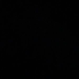 Meet your Posher, Sadie